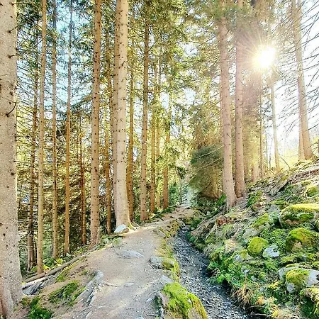 Apartament Les Antilles L Bucolique L By Cosyhome Vercorin