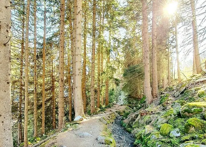 Apartment Les Antilles L Bucolique L By Cosyhome Vercorin